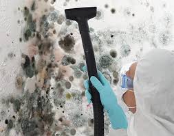 Best Forensic Mold Investigation  in East Point, GA